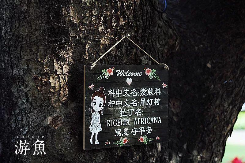报中共中央批准，开除70岁中央巡视组原副组长党籍