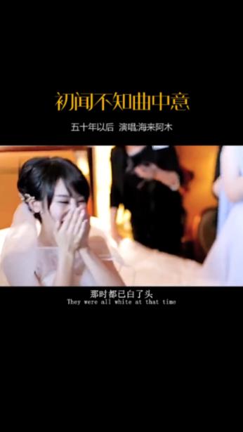 创作猫