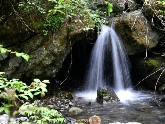 加勒比巡航