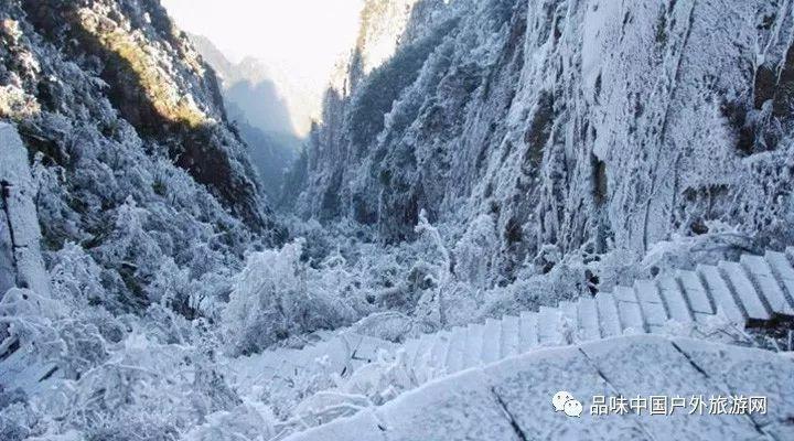 重庆武隆发现神秘巨型蝌蚪，为何“巨婴”长大后体型反而严重缩水了？