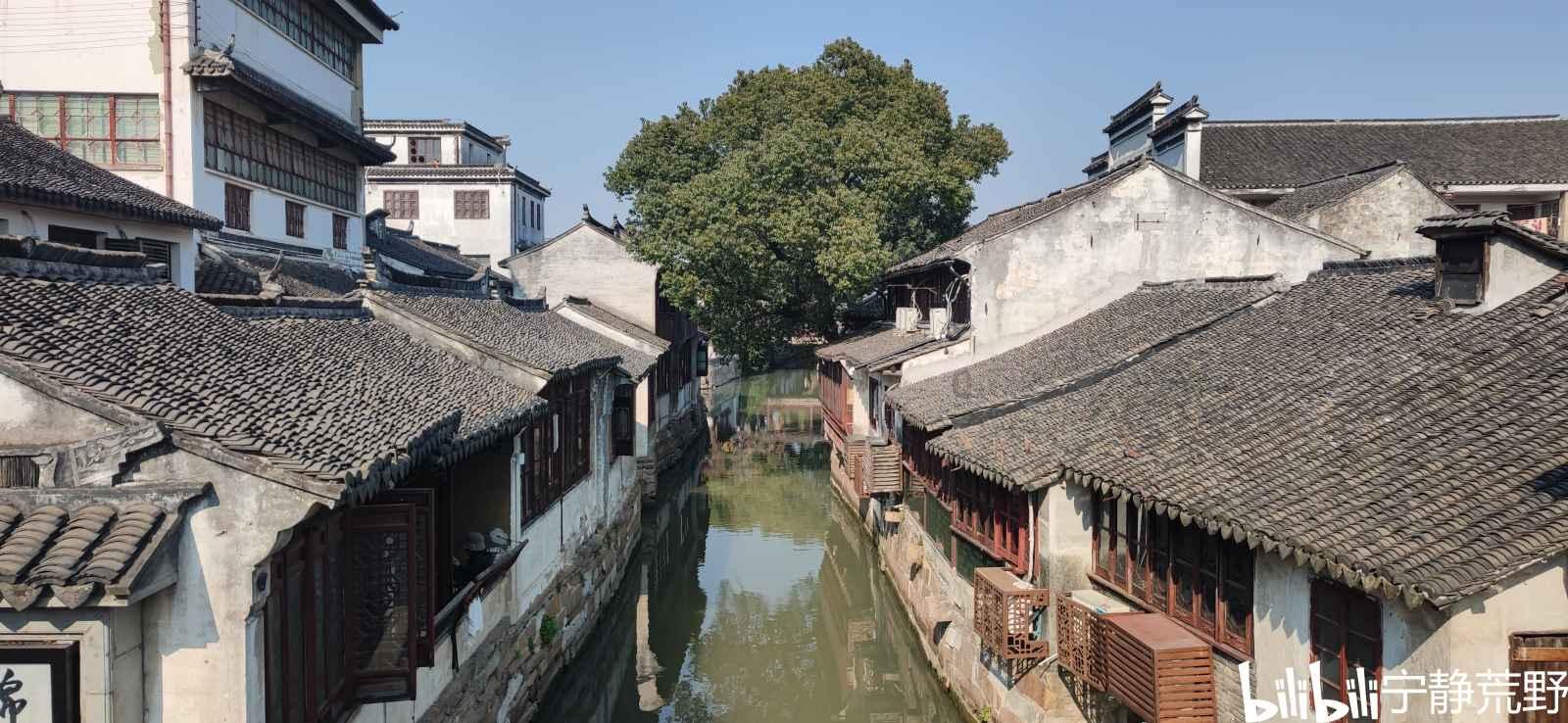 黄河流域水鸟栖息地保护仍有空缺，专家建议：推动完善体系建设